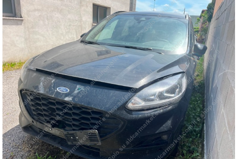 2023 Ford Kuga, Dyzelinas